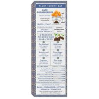 Sow Delicious Slab of Seed - Pure Cape Gooseberries